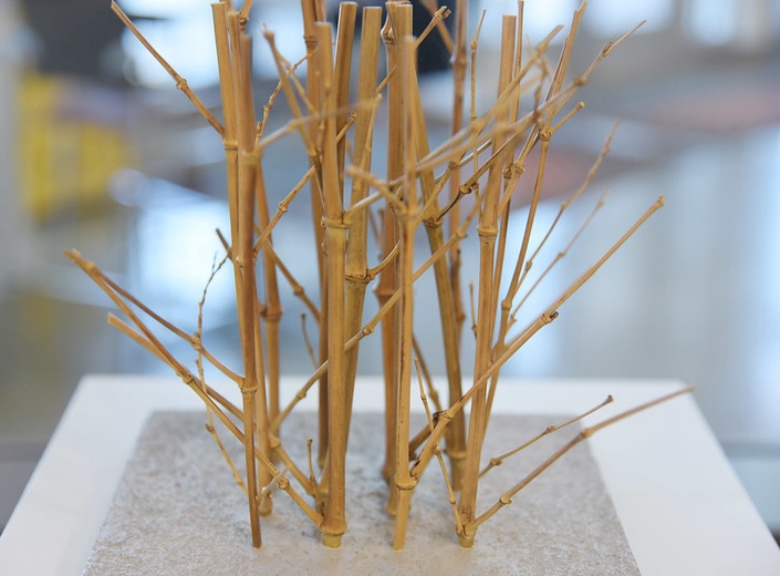 Bamboo and Haiku art exhibition.