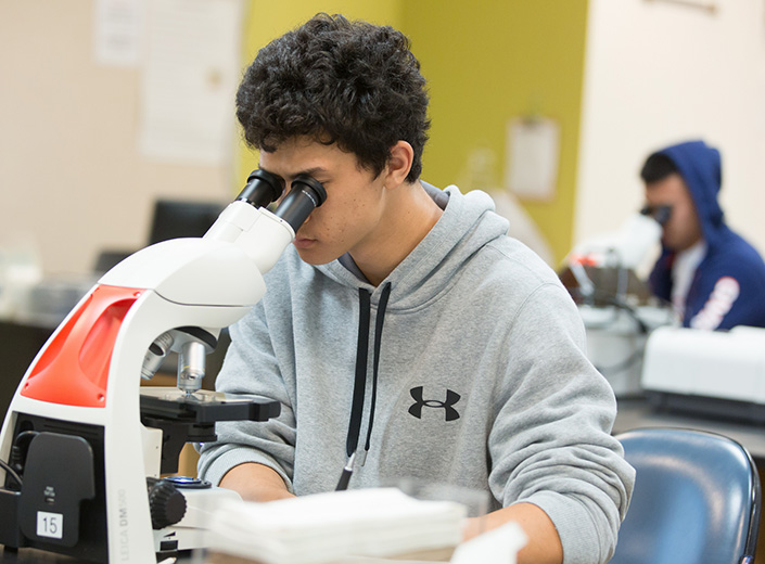 Young man with grey hoodie and curly black hair looks into a microscope.